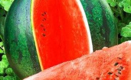 How to preserve watermelon in the cellar until the New Year - 7 best ways