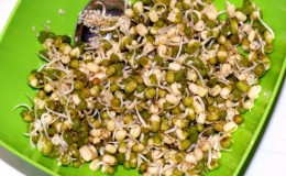 A real find for those losing weight and raw foodists: how to germinate mung bean at home and how to eat it correctly