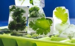How to make parsley ice for the face: beauty and health of skin from simple ingredients