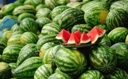 Names of early varieties of watermelons for open ground and reviews about them