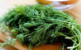 Is it possible to eat dill for gastritis and how to use it in traditional medicine recipes