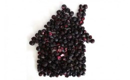 The best ways to dry blackcurrants at home