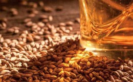 How to make malt from barley at home