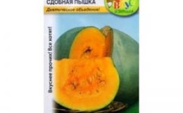The ideal hybrid for preparing delicious dishes is the Butter Pumpkin pumpkin and the features of its cultivation