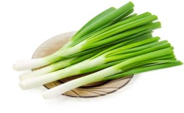 Health benefits and harms of leeks: what is good for them and how to use them correctly