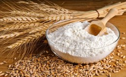 What is good about the Grom wheat variety and what are its features?