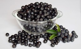 Should you eat chokeberry during pregnancy?
