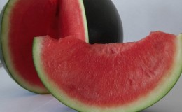 What is black watermelon: description, features and best varieties of this species