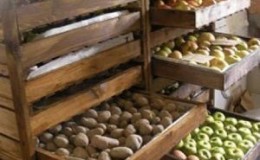 How to store potatoes in the same cellar with apples and is it possible to do so?