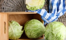 Proven ways to store early cabbage until spring