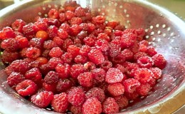 Finding out whether you need to wash raspberries before freezing and preparing the berries correctly