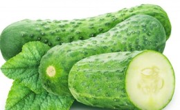 The Vyaznikovsky cucumber variety is incomparable fresh and good for winter preparations