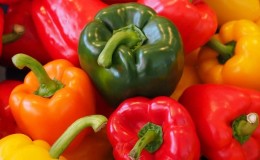 Top 10 best varieties of thick-walled sweet peppers for open ground