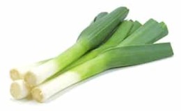 Useful properties of leeks, methods of growing them and varieties of varieties