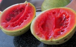 Is it possible to eat overripe watermelon and what to cook from it?