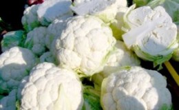 When to cut cauliflower