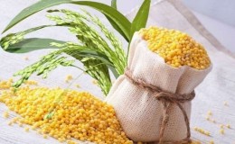 What grain is millet made from and why is it needed?