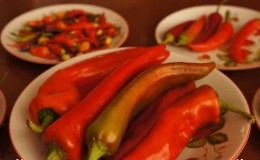 We distinguish hot fruits easily and simply - cayenne pepper and chili: what is the difference and how to use them
