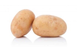 Mid-late table potato variety Ragneda, adaptable to any soil