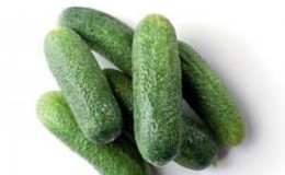 Tasty and easy to grow Lukhovitsky cucumbers