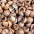 Macadamia nut shell - beneficial properties and uses