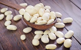 Features of growing white beans