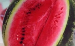 Is it worth buying watermelon seeds Producer: review of the variety by American breeders, its advantages and disadvantages