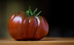 The Mikado tomato, beloved by summer residents, with a rich palette of subspecies and strong immunity - we grow it ourselves without hassle