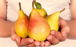 The best pear varieties for the Moscow region