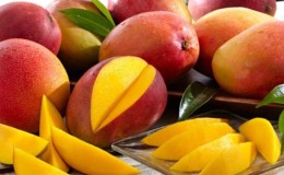 All about mango: what it is, what it looks like and where it grows