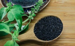How to collect basil seeds and what to do with them next