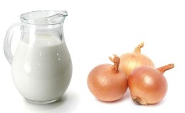 Does milk with onions help with cough and how to use it correctly