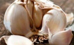How to recognize spring and winter garlic: differences between varieties by external characteristics, taste and other characteristics