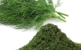 How to preserve dill for the winter at home: the best storage methods