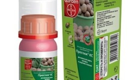 Method of using the drug Prestige for processing potatoes and reviews about it