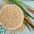 What is grain sorghum, features of its use and cultivation