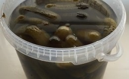 The best recipes for pickling cucumbers in a plastic bucket for the winter and recommendations for storing such preparations