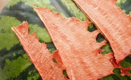 Step-by-step instructions: how to dry watermelon in an electric dryer and store the finished product