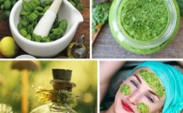 How to use basil on the face: reviews, beneficial properties, mask recipes