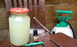 Rules for processing cucumbers with whey and iodine: recipes and proportions