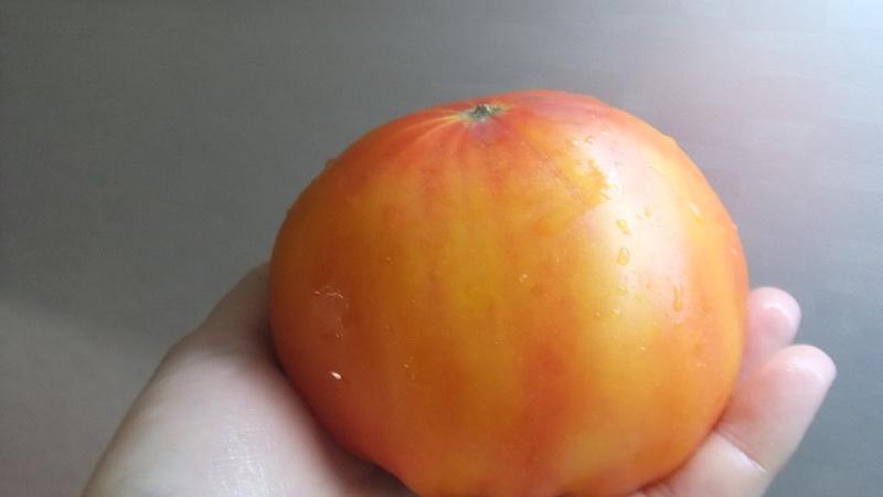 Farmers' favorite among tomatoes: Bull's Heart tomato, characteristics and description of the variety