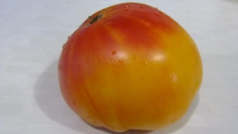 Farmers' favorite among tomatoes: Bull's Heart tomato, characteristics and description of the variety