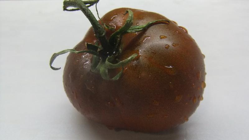 Farmers' favorite among tomatoes: Bull's Heart tomato, characteristics and description of the variety