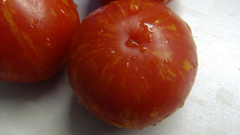 Which low-growing tomato varieties are the most productive?
