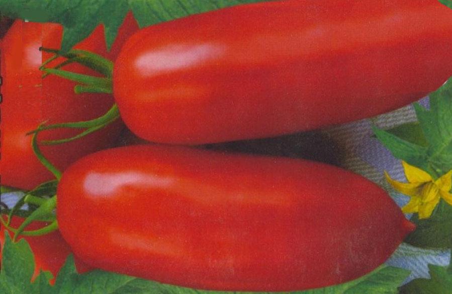 Which low-growing tomato varieties are the most productive?