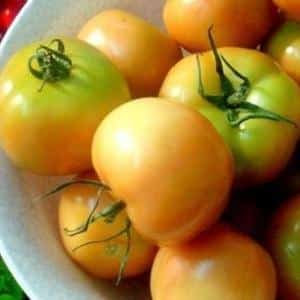 The best recipes for preparing brown tomatoes for the winter