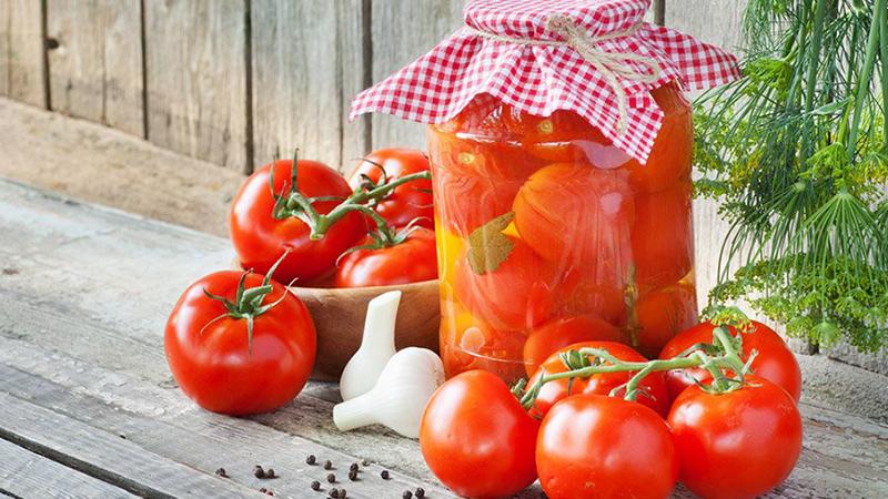Disease-resistant and easy-care tomato Gina - a practical guide to growing