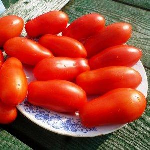 An excellent variety for canning and various dishes - Lady fingers tomato: we grow it ourselves