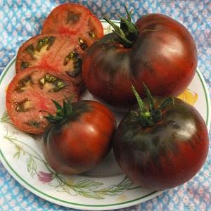 Features of growing and caring for the Bison black tomato