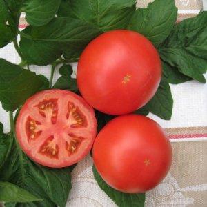 Clusters of bright red fruits, like from the picture: Verlioka tomato - garden bed decoration
